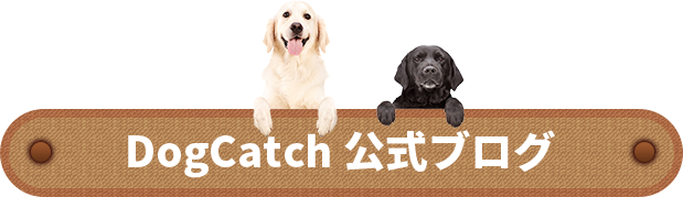 DogCatch 公式ブログ
