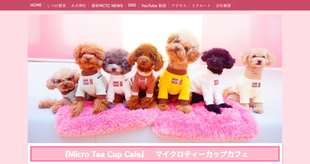 Micro Tea Cup Cafe(マイクロティーカップカフェ)
