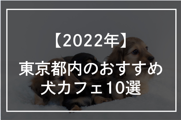 東京都内にあるおすすめ犬カフェ10選！【2022年】
