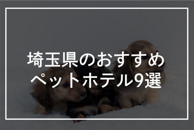 埼玉県にあるおすすめのペットホテル9選！犬や猫を預けれるお店を紹介