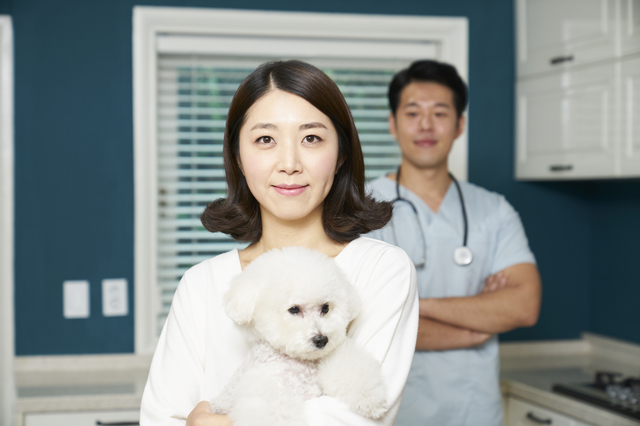 病院で女性に抱かれている犬