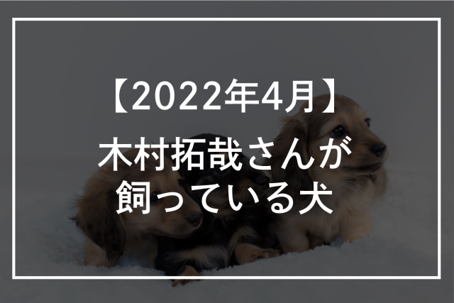 【2022年4月】木村拓哉(キムタク)さんが飼っている犬！写真・インスタ紹介