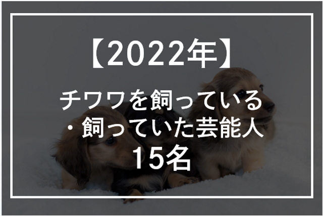 【2022年】チワワを飼っている・飼っていた芸能人15名！愛犬の写真も