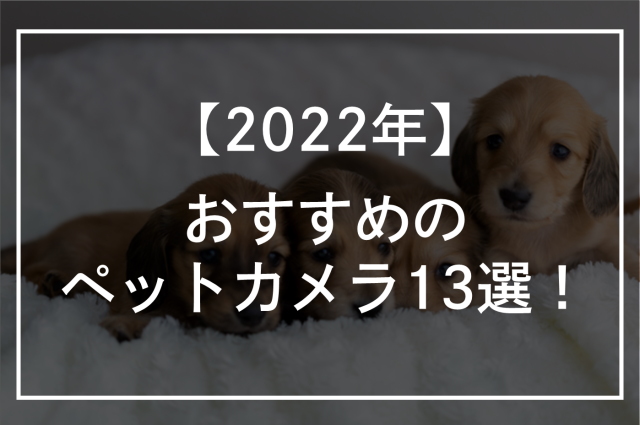 【2022年】犬・猫向けおすすめのペットカメラ13選！スマホ対応・天井設置