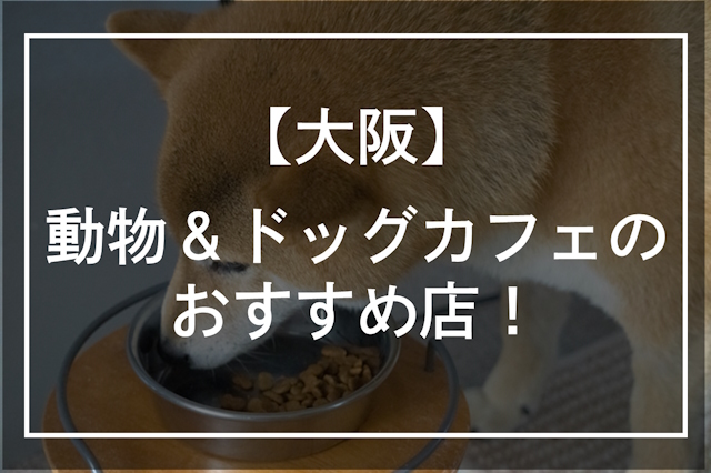 【大阪】動物＆ドッグカフェおすすめ12選！人気・おしゃれなどをご紹介！