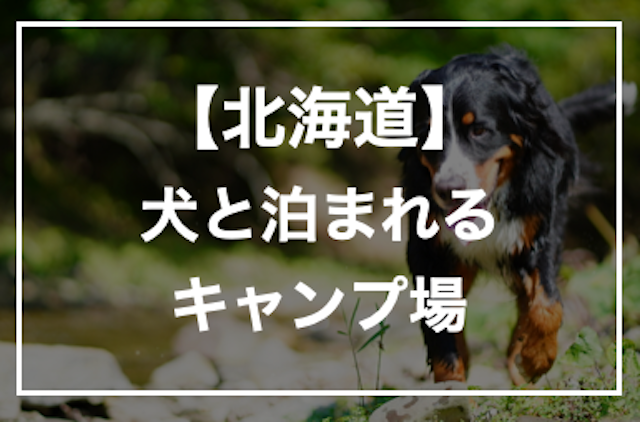 犬と泊まれる北海道のキャンプ場！