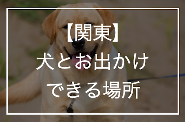 【関東】犬とお出かけ・一緒に行ける場所！お出かけの準備や注意点などもご紹介
