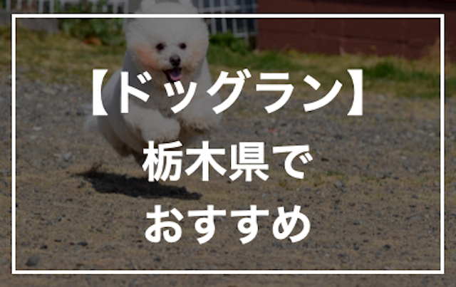 栃木県のドッグランおすすめ8選！愛犬とのおでかけに