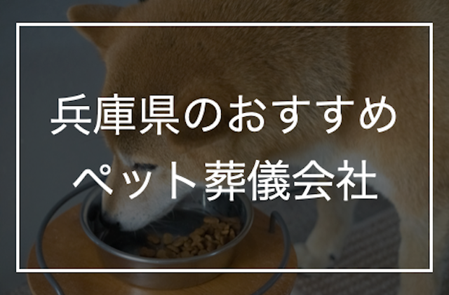 兵庫県のペット葬儀会社おすすめ5選！愛犬・愛猫の供養に