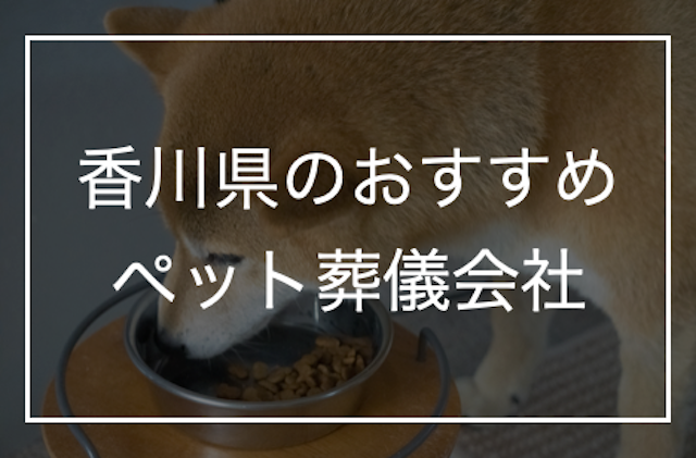 香川県でおすすめのペット火葬・葬儀会社5選！愛犬・愛猫の供養に
