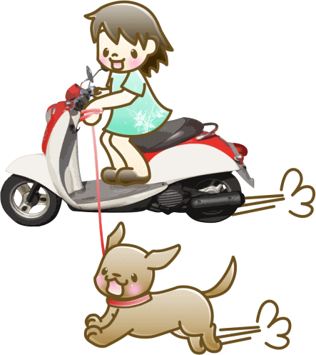 たまに、バイクで犬を引いている人がいますが・・・ご勘弁です